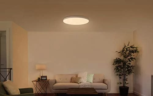 Потолочный светильник Mi Smart LED Ceiling Light 13