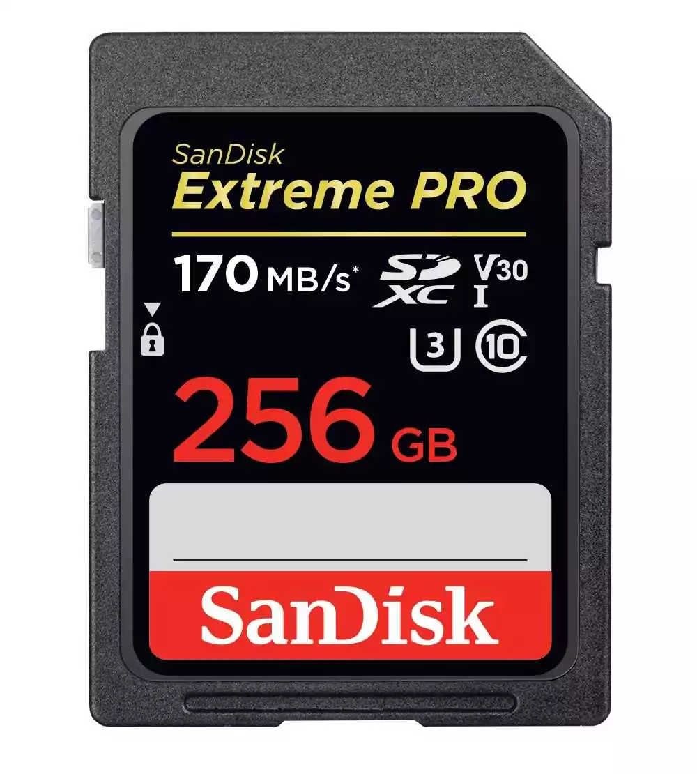 Карта памяти Sandisk Extreme Pro SDXC Card 256GB 4