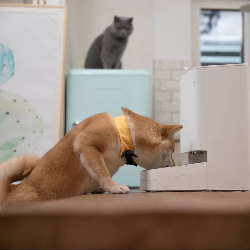 Умная кормушка для домашних животных Xiaomi Smart Pet Food Feeder 9