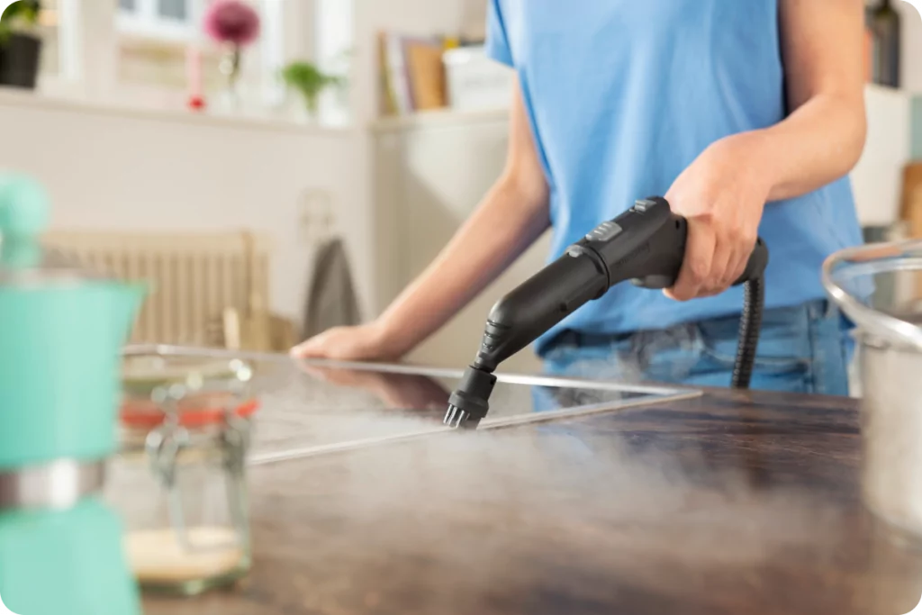 дезинфекция паром. дезинфекция паром. 863-260. Karcher 2. дезинфекция паром.