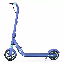 Электросамокат Ninebot by Segway eKickScooter Zing E8, Голубой