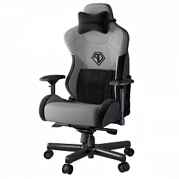 Игровое кресло AndaSeat T-Pro 2, серый/чёрный