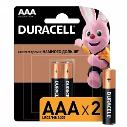 Батарейка ААА Duracell LR03/2BL MN2400