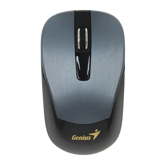 

Беспроводная мышь Genius ECO-8015 Iron Gray